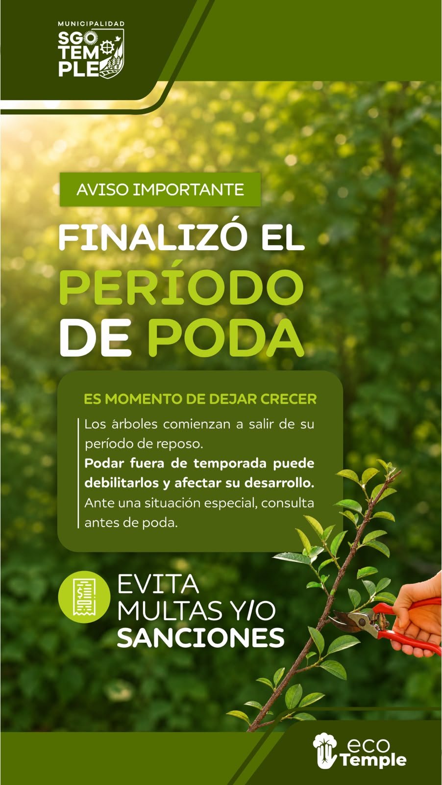 Tiempo de dejar crecer: finalizó la temporada de poda
